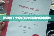 探寻里丁大学成绩单背后的学术奥秘