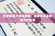 杜伊斯堡大学卓越成绩背后，探寻学术辉煌的奥秘之旅