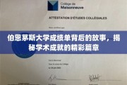 伯恩茅斯大学成绩单背后的故事，揭秘学术成就的精彩篇章
