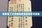 揭开里丁大学成绩单的学术面纱，揭秘卓越背后的秘密