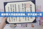 梅努斯精英档案，一睹学子卓越成就风采