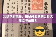领略丹麦利利贝特大学文凭的国际魅力，北欧教育明珠闪耀全球