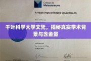 千叶科学大学文凭深度解析，揭秘其学术实力与市场认可度