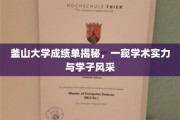 釜山大学学子风采大揭秘，成绩单背后的学术实力一览