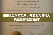 北欧教育之光，探秘丹麦利利贝特大学的卓越成就与传奇故事