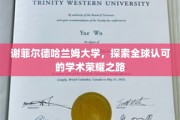 谢菲尔德哈兰姆大学，迈向国际学术巅峰的荣耀征途