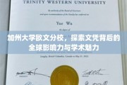 解码加州大学欧文分校，文凭之光下的全球足迹与学术风采