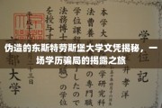 揭秘学历骗局，东斯特劳斯堡大学文凭伪造背后的惊人真相