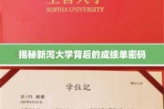新泻大学卓越背后的惊人成绩解析