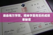 揭开迪由维尔学院学霸们的卓越成绩背后秘诀