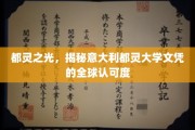 跨越国界的光辉，探寻都灵大学文凭的国际影响力