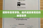 解码诺斯布鲁克，揭开成绩单背后的精英奥秘