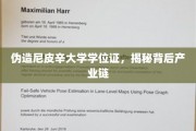 伪造学位证风波，尼皮辛大学毕业生背后的黑色产业链全解析