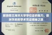 荷兰海牙大学学位证背后的欧洲学术荣耀，一探究竟的学府凭证之旅