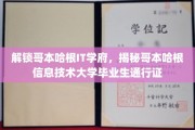 哥本哈根IT学府毕业生通行证，揭秘北欧硅谷的秘密武器