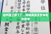 加州理工光环下的秘密，揭秘文凭背后的传奇故事