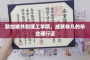 新加坡共和理工学院，锻造卓越未来的通行证胜地