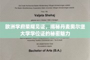 丹麦奥尔堡大学学位证闪耀欧洲，揭秘独特荣耀背后的故事