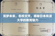 探寻筑波之光，日本顶尖学府的教育风采揭秘