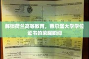 荷兰学府荣耀启程，蒂尔堡大学学位证书的璀璨绽放