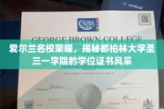 探寻爱尔兰顶尖学府，都柏林大学圣三一学院学位证书的独特色彩