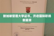 新加坡管理大学认证，助力全球职场精英之路