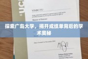 揭秘广岛大学成绩单，探寻学术卓越的深层密码