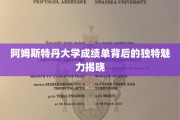 解锁阿姆斯特丹大学成绩单的异域风情密码