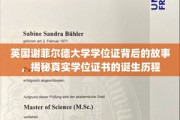 谢菲尔德大学学位证背后的传奇，探寻真实证书的诞生轨迹