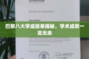 巴黎八大学成绩单背后的学术风采，揭秘学子卓越成就
