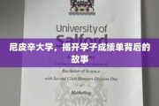 揭开尼皮辛大学学子成绩单背后的励志篇章