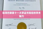 解码巴黎第十一大学证书，学术之旅的璀璨印记