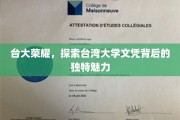 台湾大学之光，解码文凭背后的非凡吸引力