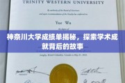解码神奈川大学卓越成绩，揭秘学术精英背后的奋斗之路