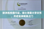 跨国精英通行证，瑞士洛桑大学文凭，解锁全球顶尖教育殿堂