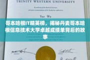 解码哥本哈根IT精英传奇，揭秘丹大IT卓越之路