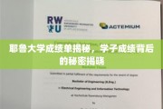 耶鲁学子成绩之谜，揭秘背后的卓越与挑战