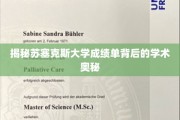 探索苏塞克斯大学成绩单中的学术秘境