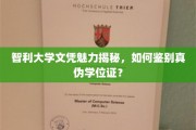 揭秘智利大学文凭魅力，教你轻松辨识真伪学位证书