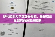 伊利诺斯大学芝加哥分校，解码成绩单背后的数据密码