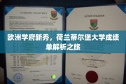 荷兰蒂尔堡大学，揭秘年轻翘楚的卓越学术成就之路