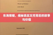 文凭之光，东海名校背后的秘密与成就解读