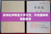 跨国职场通行证，杜伊斯堡大学文凭助力全球就业新起点