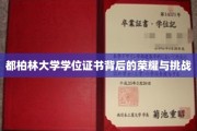 解码都柏林大学学位证书，荣耀之路的艰辛与辉煌