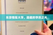 东京情报大学，隐藏的学历之光