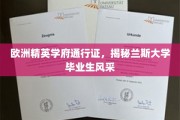 欧洲精英摇篮，兰斯大学学子风采独领风骚