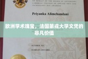 探寻欧洲学术巅峰，第戎大学文凭的璀璨魅力