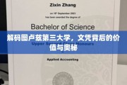 探寻图卢兹第三大学文凭的深层价值与神秘面纱