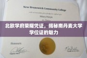探寻北欧名校之光，南丹麦大学学位证的独特魅力