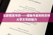 探索丹麦利利贝特大学，北欧精英教育的璀璨明珠
